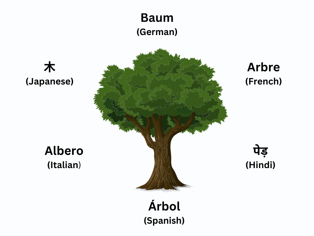 The concept/idea of a tree in different languages
