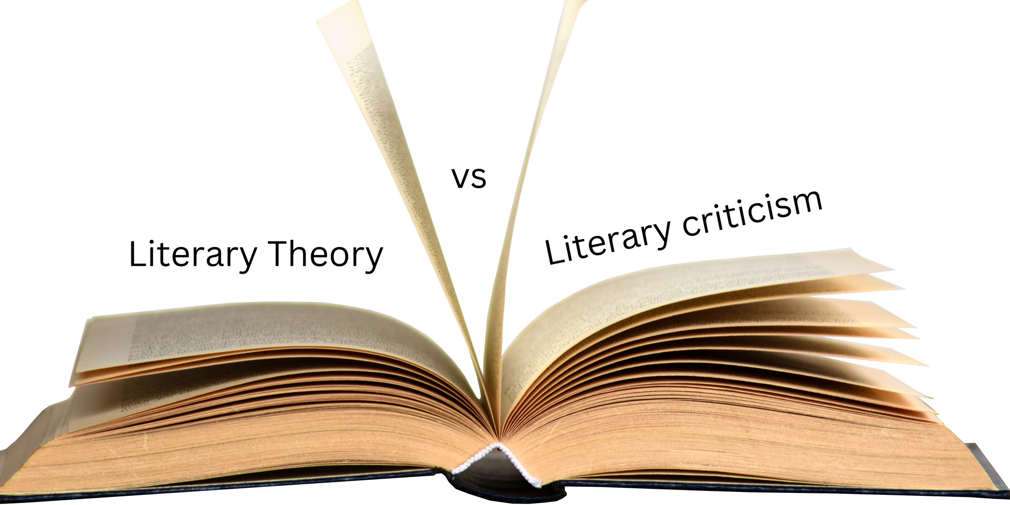 literary theory vs literary criticism